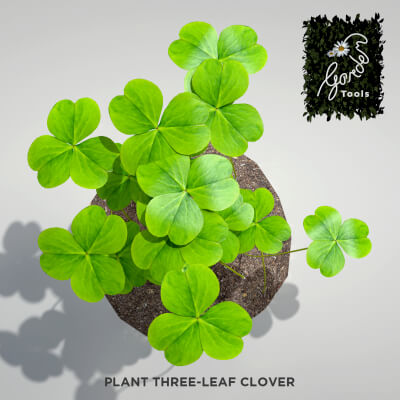 Plant Three-Leaf Clover