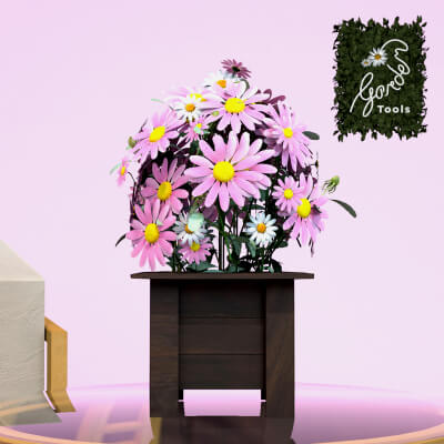 Vase Flowers Daisy Roses