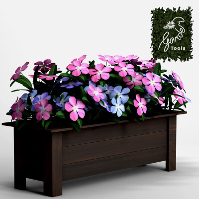 Vase Flowers Vinca De Madagascar