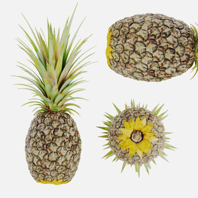 Ananas Fruit