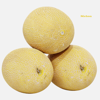 Melon Fruit Food