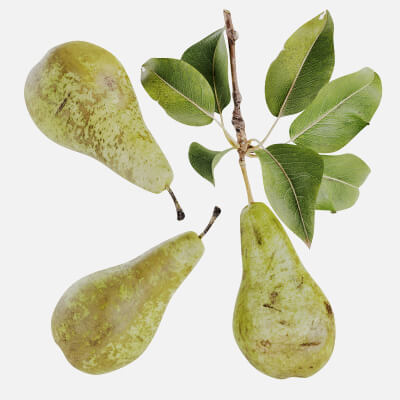 Pear Fruits Food