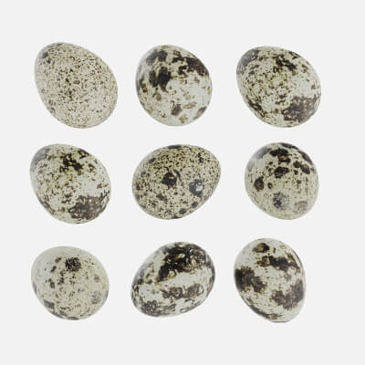 Quail Eggs food