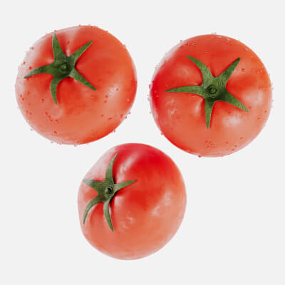 Tomato Vegetables