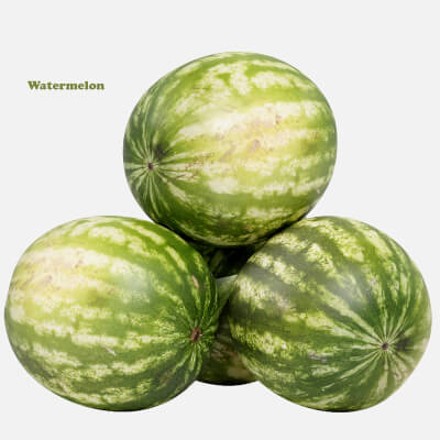 Watermelon Foods