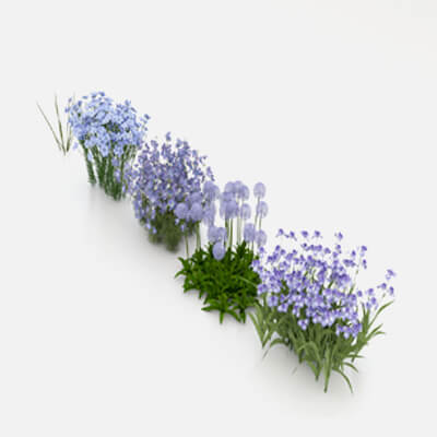 Realistic Garden Plants and Shrubs 3D Model-3