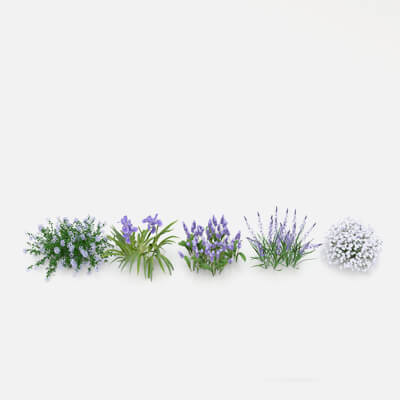 Realistic Garden Plants and Shrubs 3D Model 4