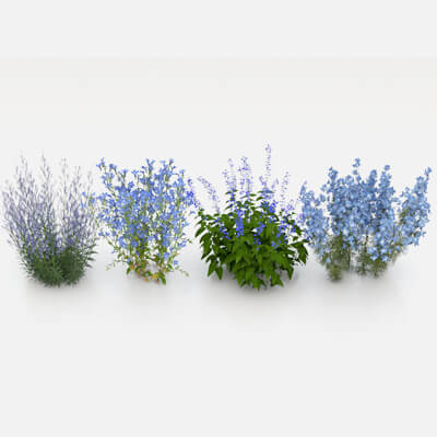 Realistic Garden Plants and Shrubs 3D Model-2