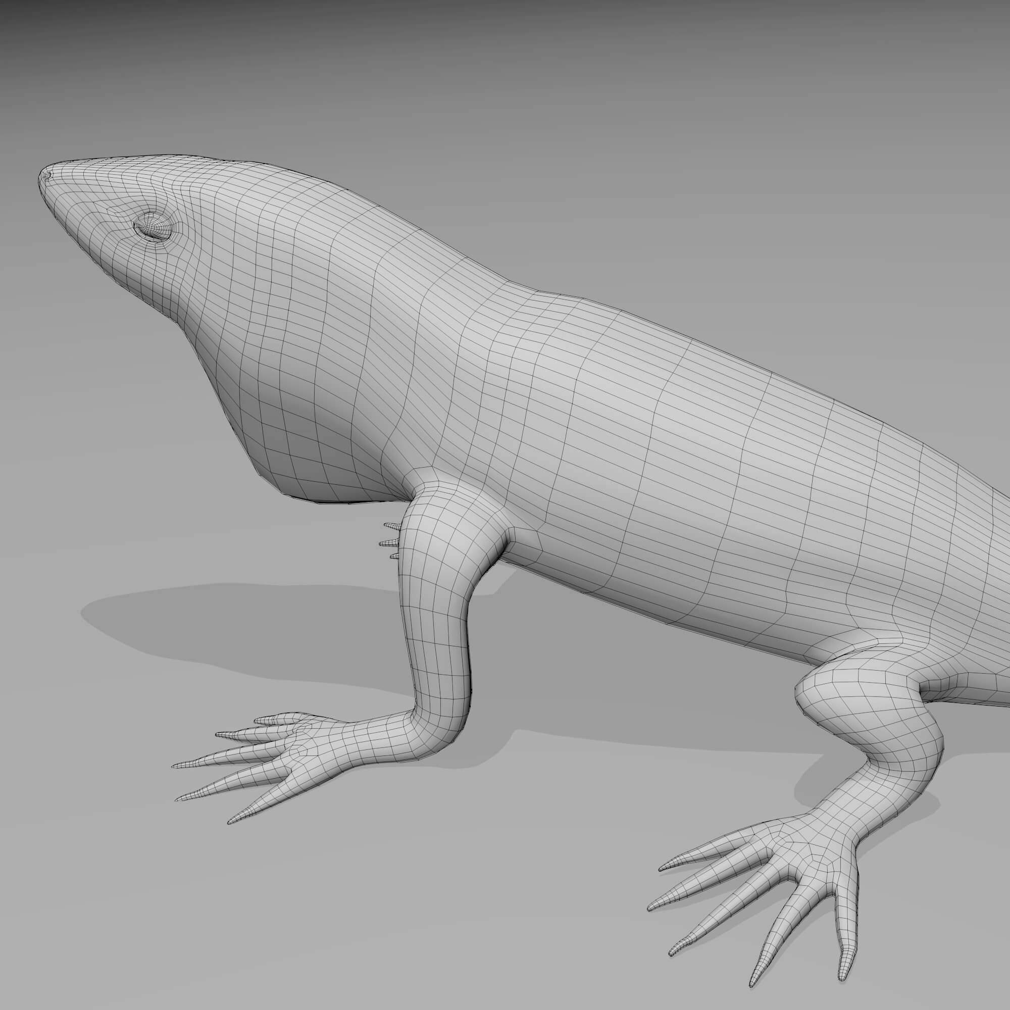 Lizard 3. Ящерица 3д модель. 3d lizard.