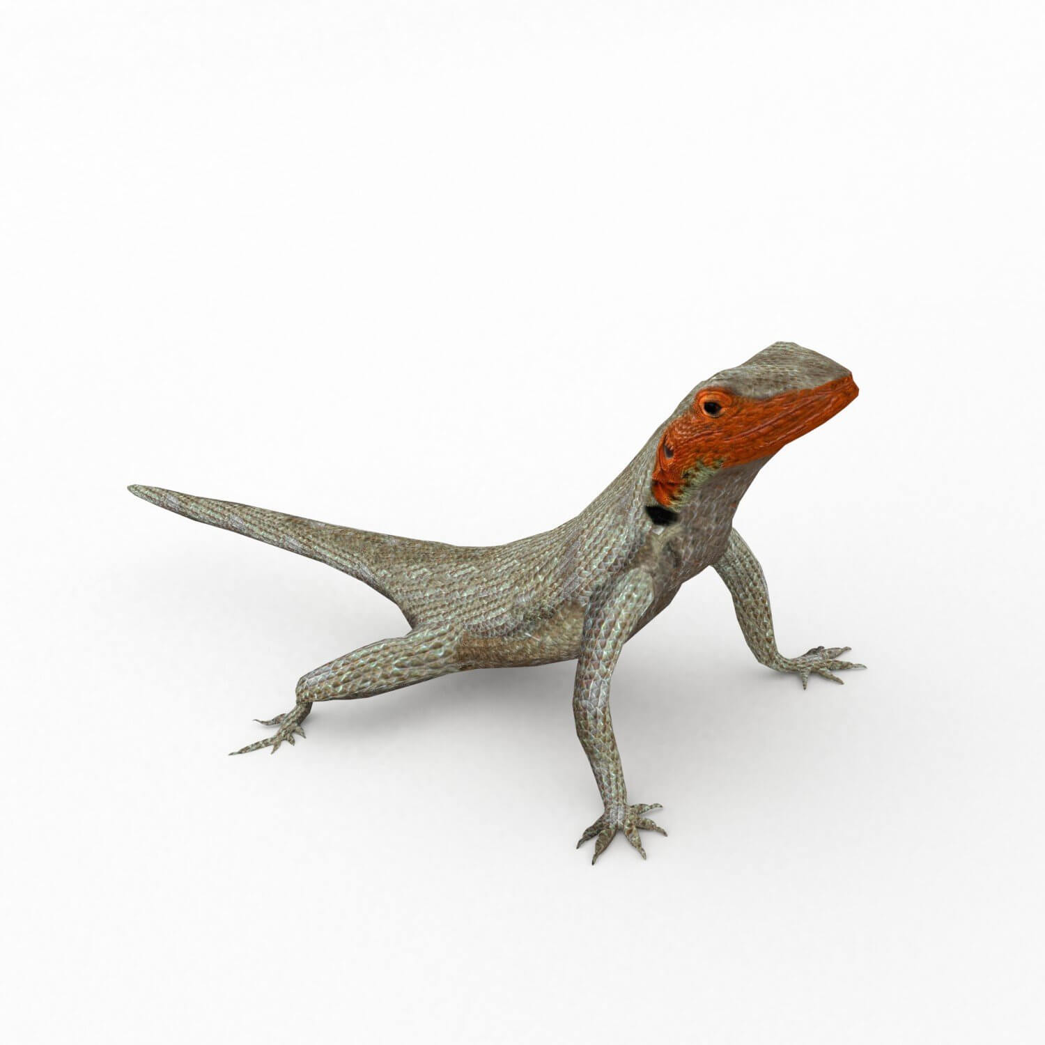 Ящерица 3д модель. Лавовая ящерица. ящерица 3д модель для принтера. lava lizard. 3d lizard.