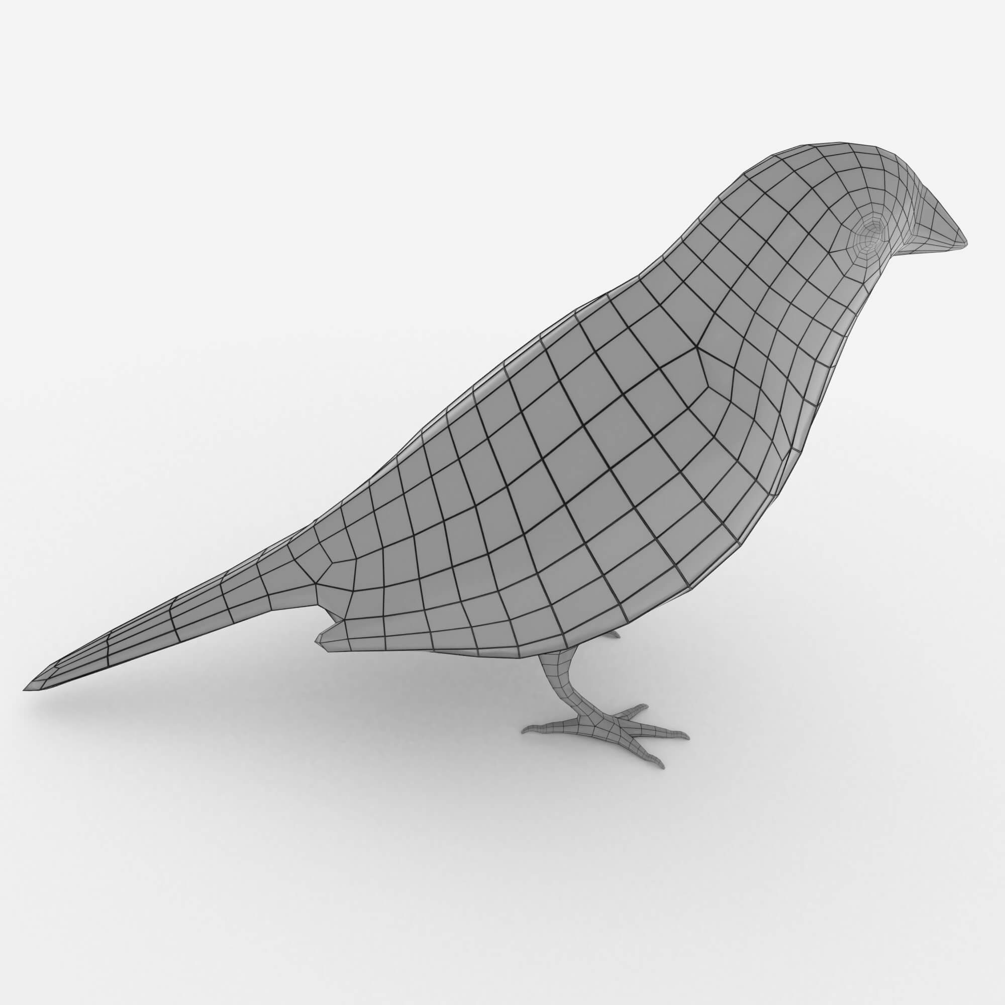 Low poly 3d bird. Low poly 3d bird. Finch 3d. Finch 3d. Finch 3d.