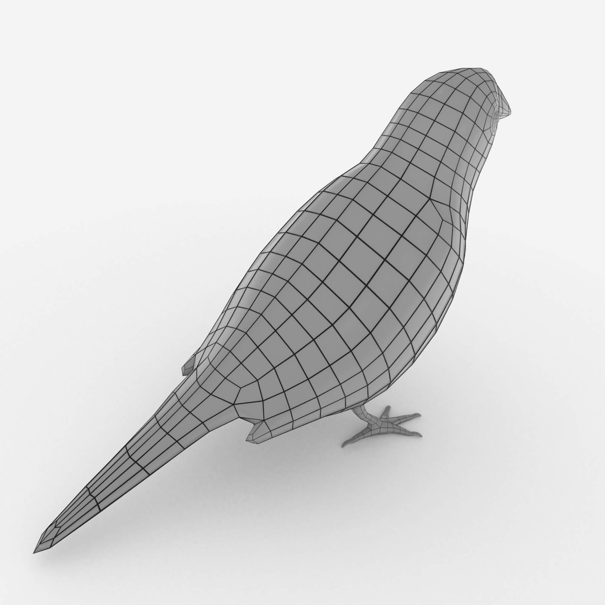 Low poly 3d bird. Finch 3d. Finch 3d. Finch 3d. Crazy bird rig.
