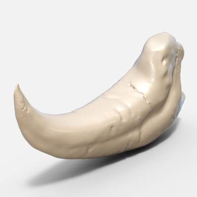 Raptor Dinosaur Claw