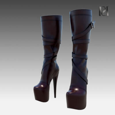 Heel Boots SXS72