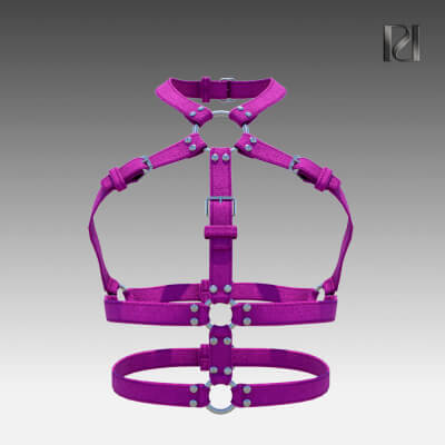 Punk Harness 13