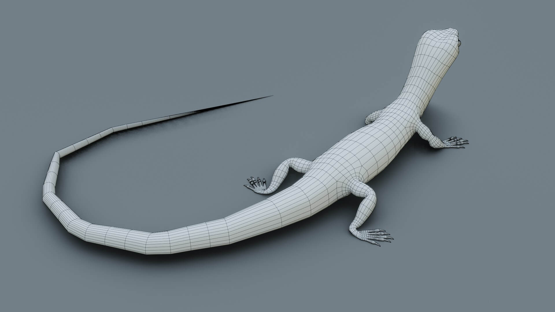 Lizard - 3D Model by sathak