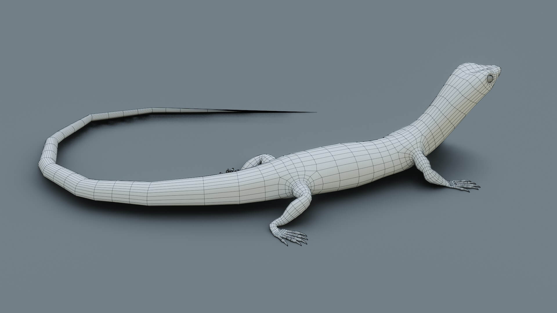 Lizard - 3D Model by sathak