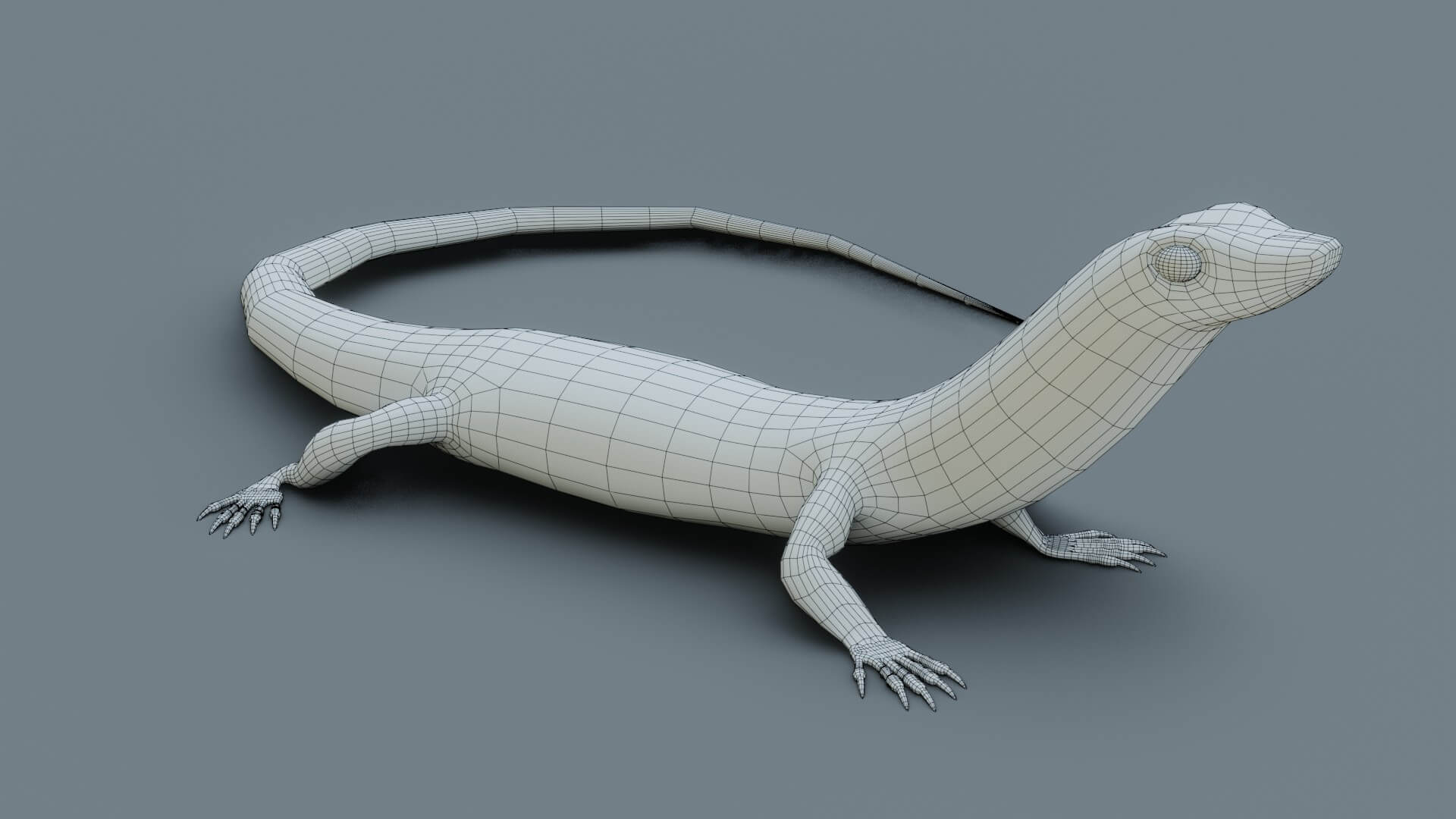 Lizard - 3D Model by sathak
