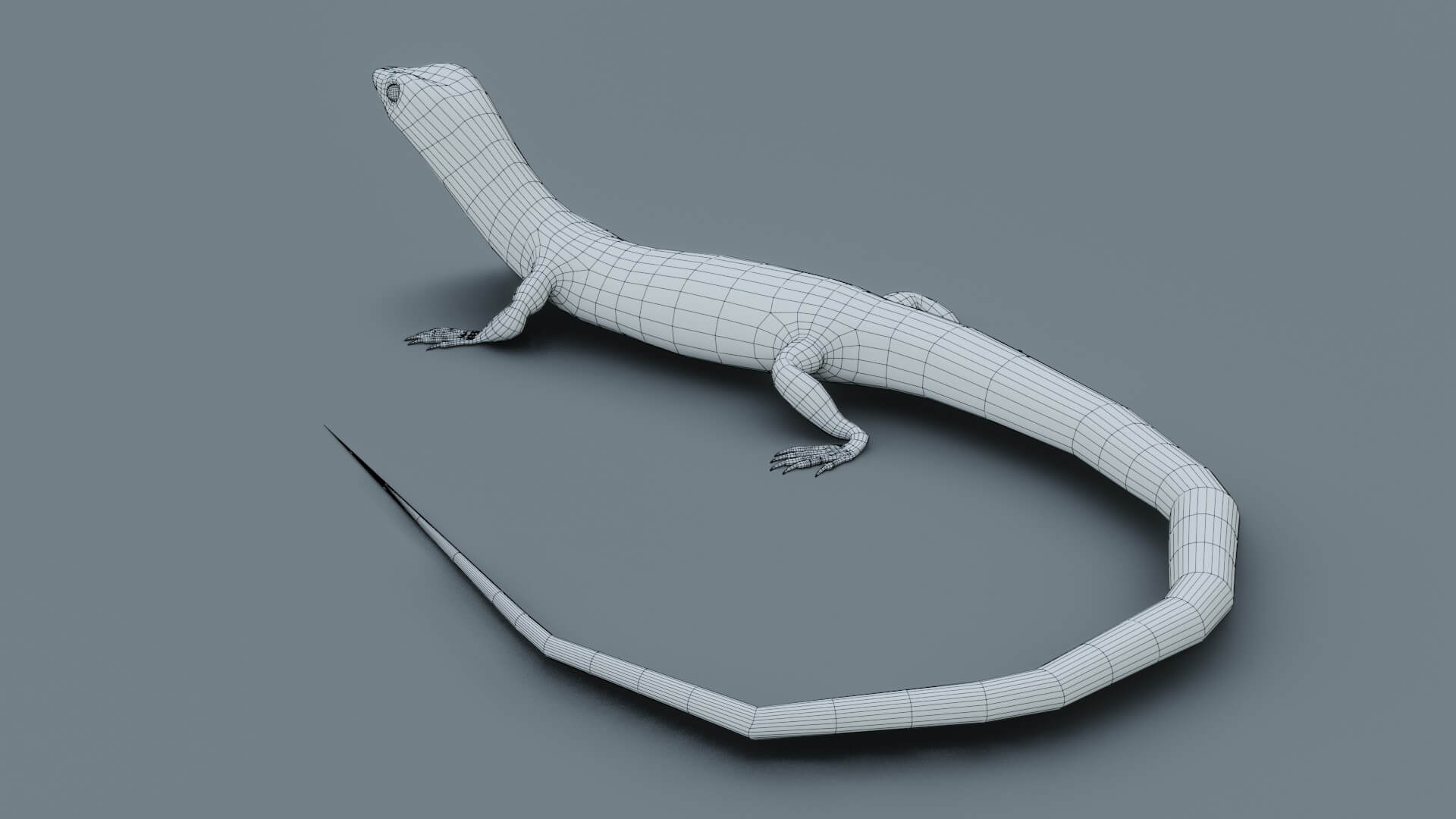 Lizard - 3D Model by sathak