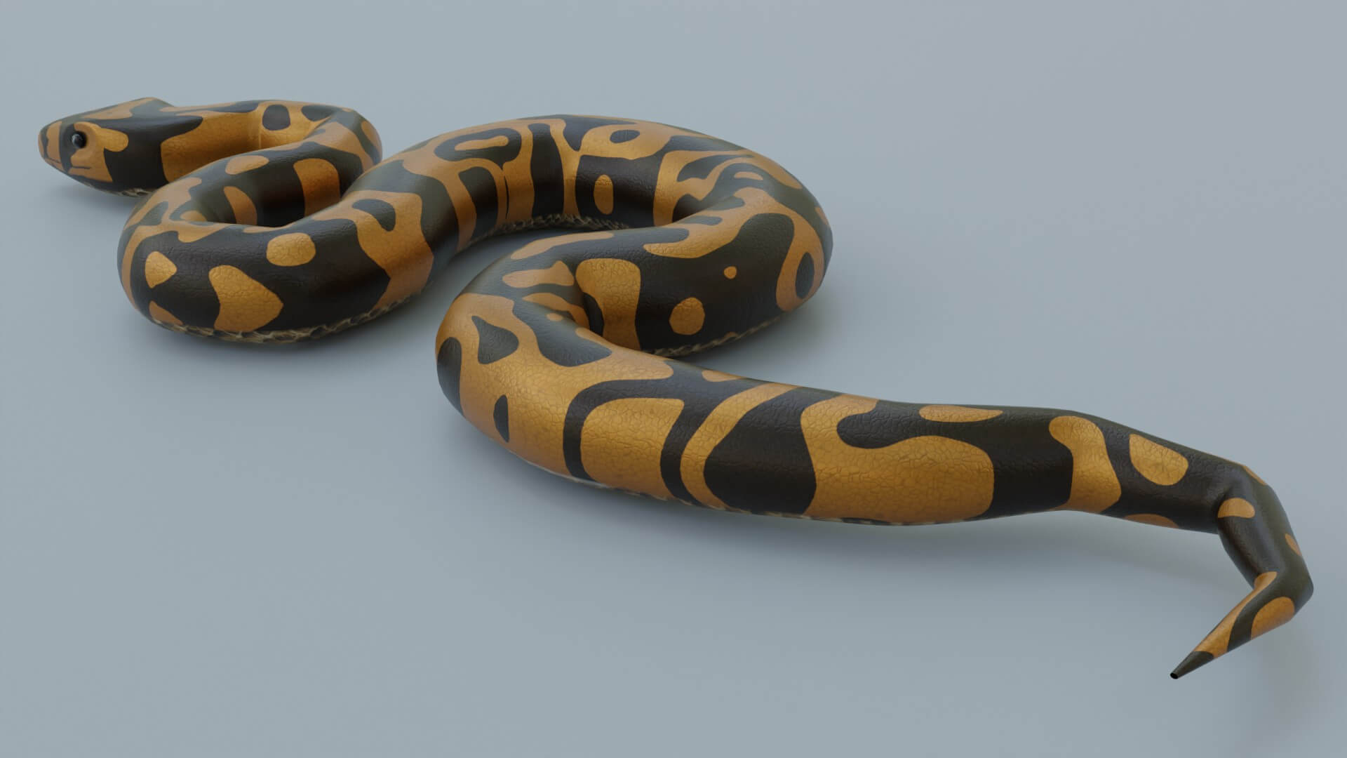 Python Snake - 3D Model by sathak