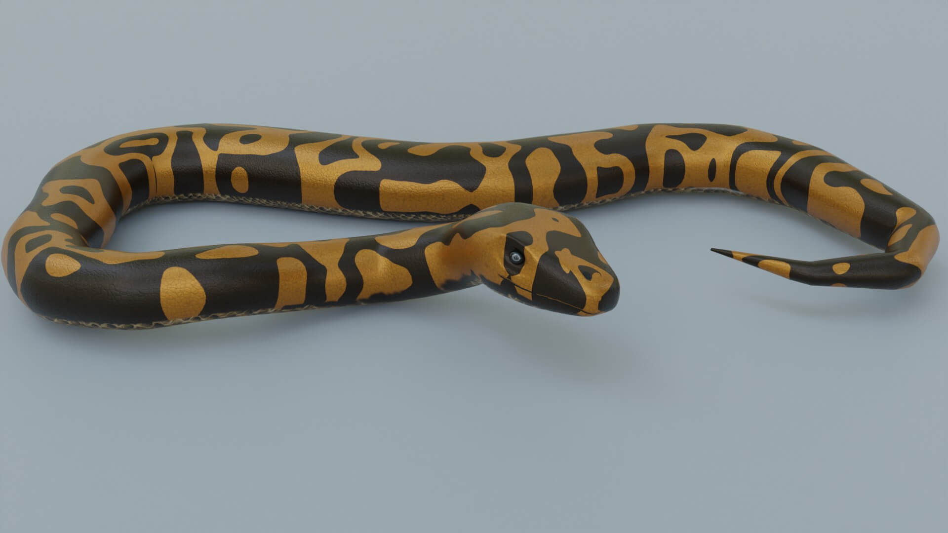 Python Snake - 3D Model by sathak