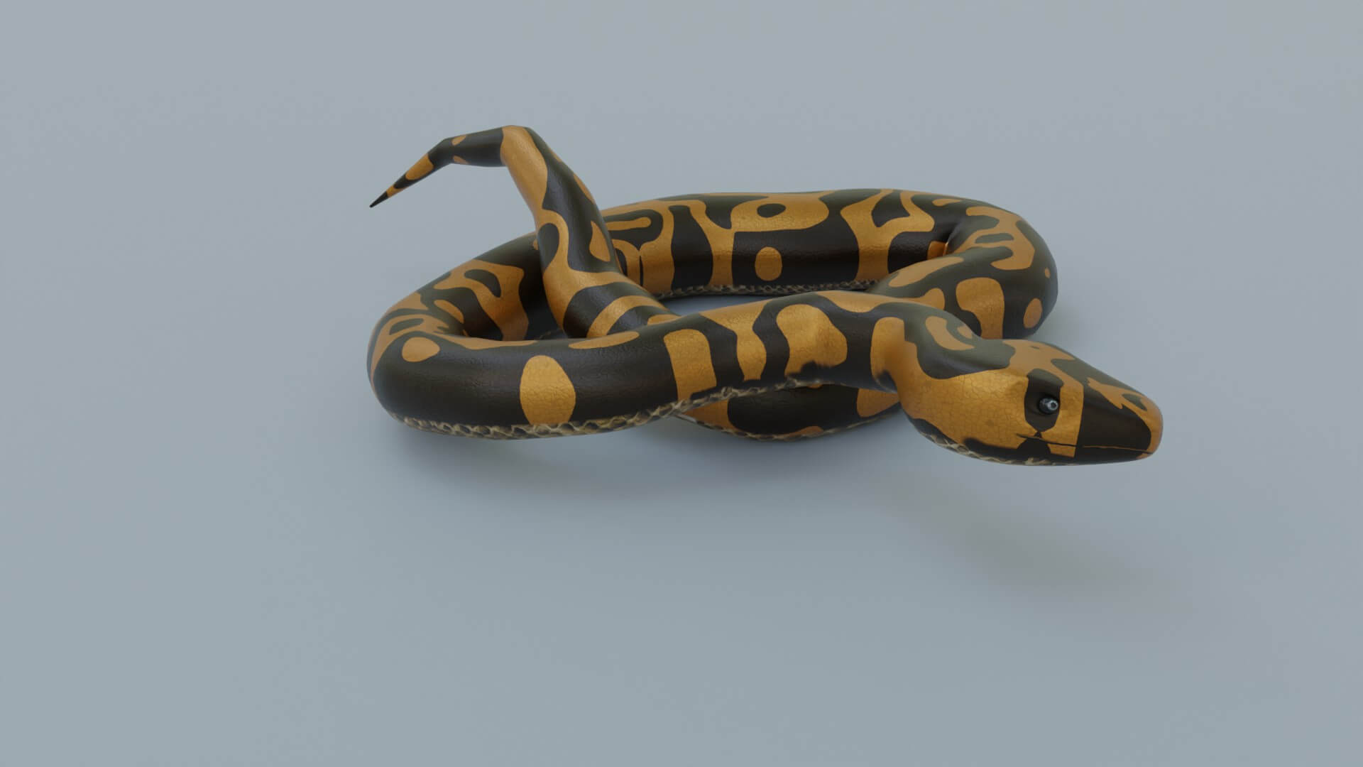 Python Snake - 3D Model by sathak