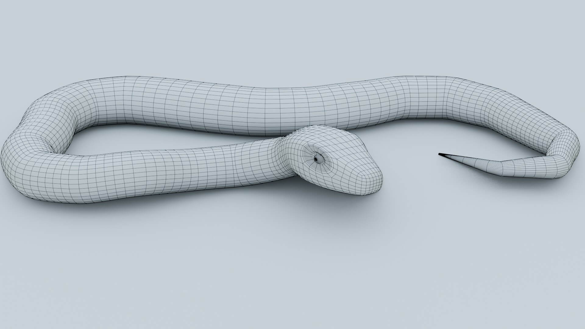 Python Snake - 3D Model by sathak