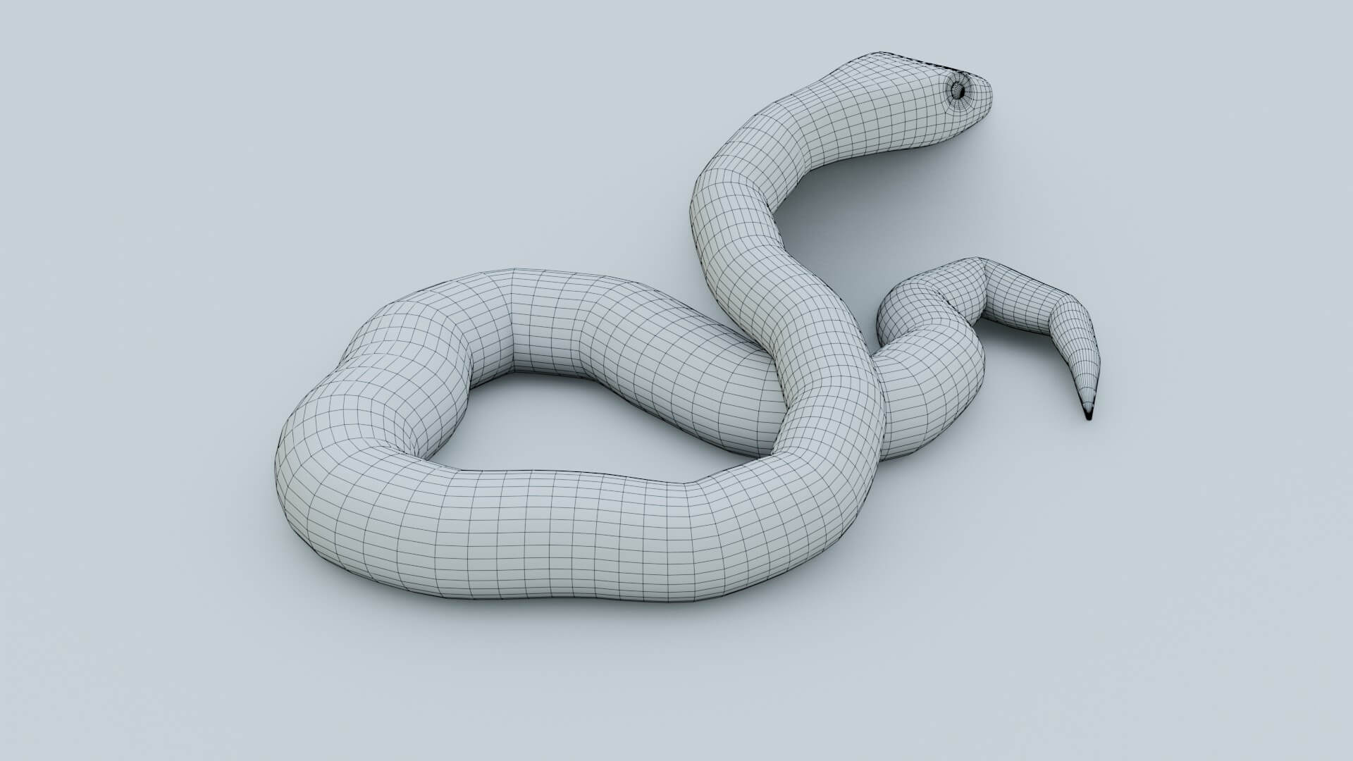 Python Snake - 3D Model by sathak