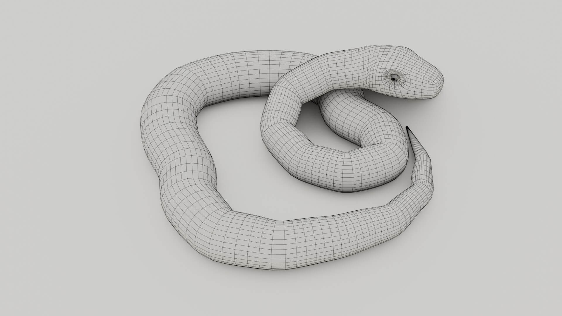 Python Snake - 3D Model by sathak