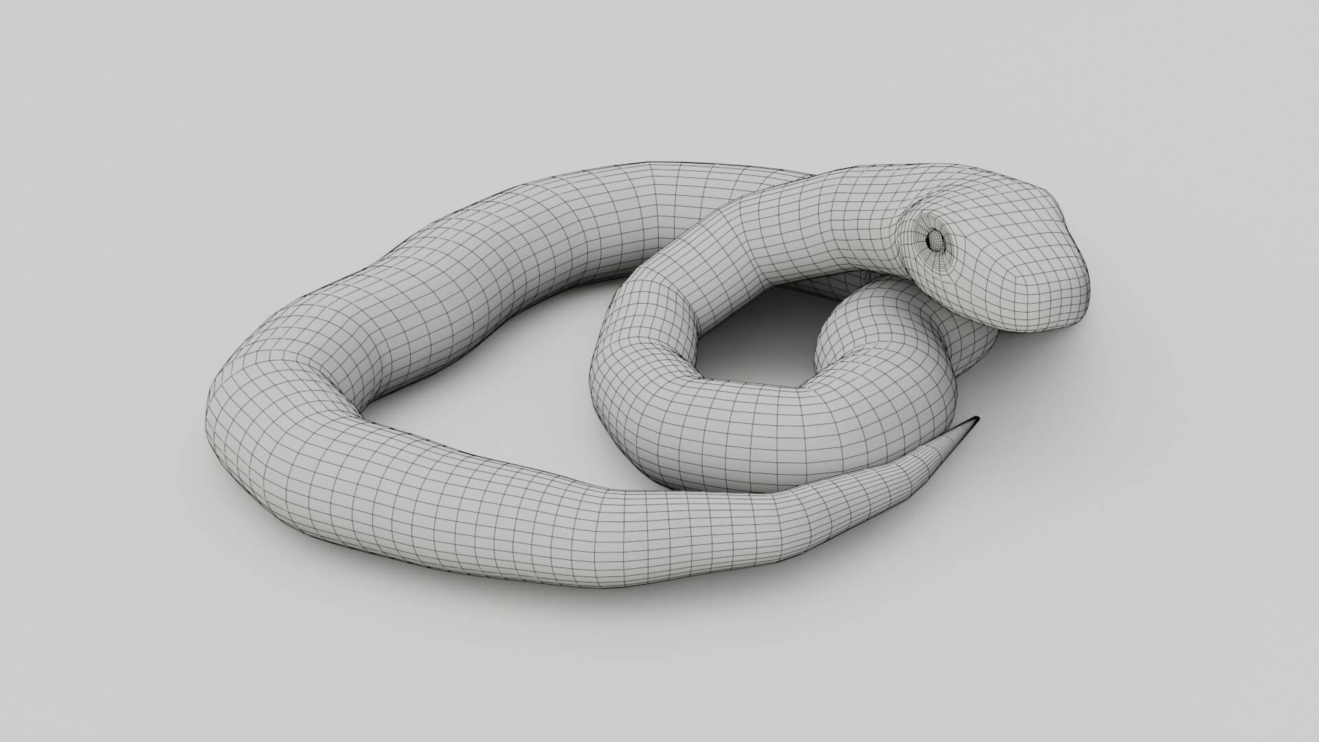 Python Snake - 3D Model by sathak