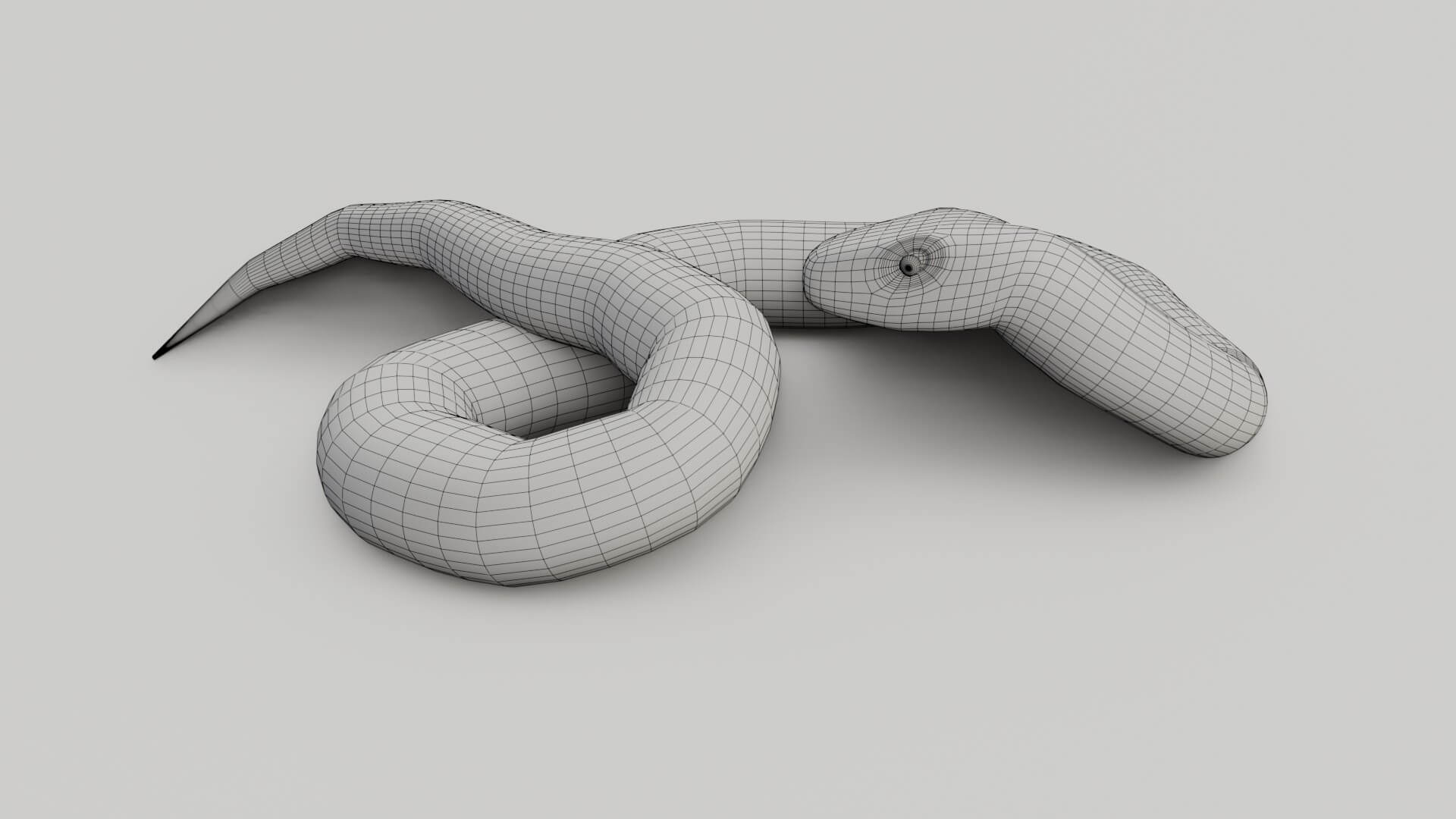 Python Snake - 3D Model by sathak