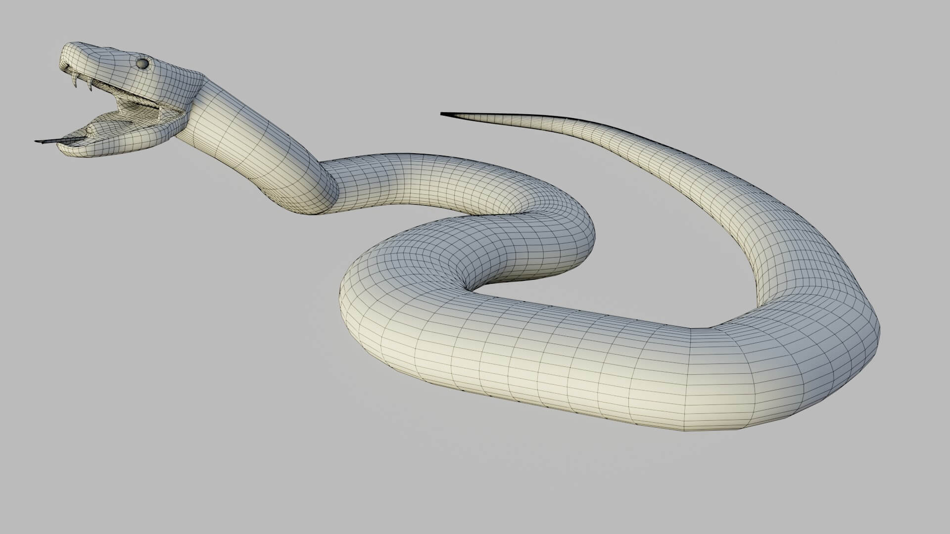 Russells Viper - 3D Model by sathak