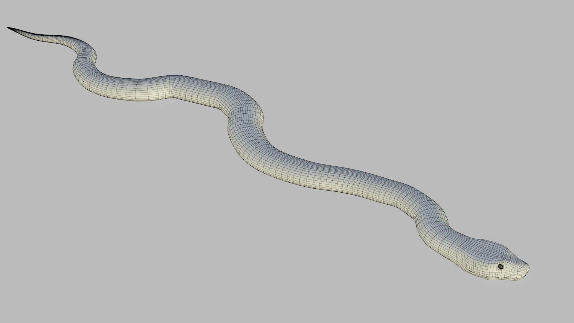 Russells Viper - 3D Model by sathak