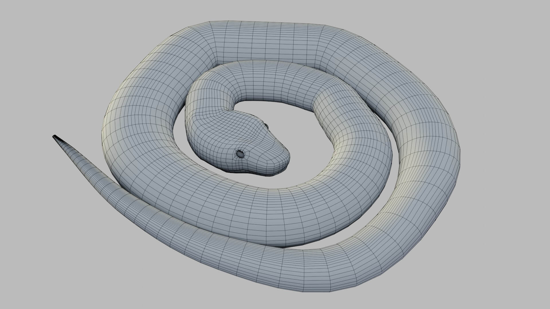 Russells Viper - 3D Model by sathak