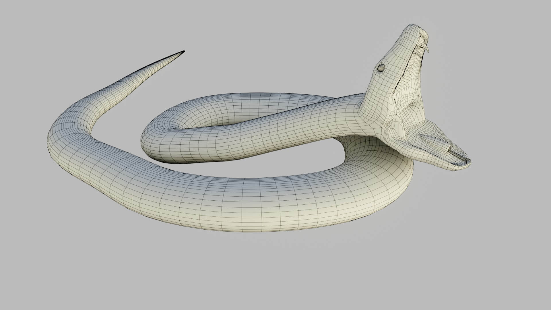 Russells Viper - 3D Model by sathak