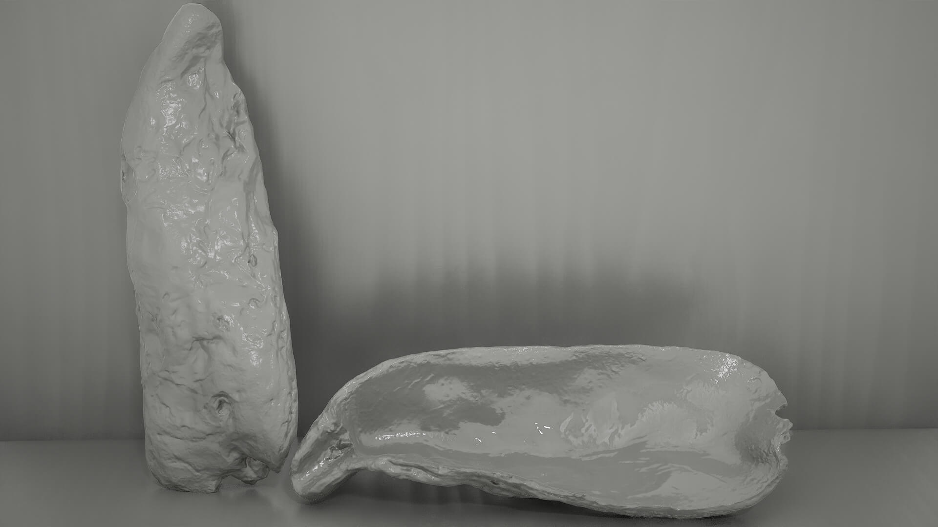 Painted Shell - Free 3D Model by Scan Kraft