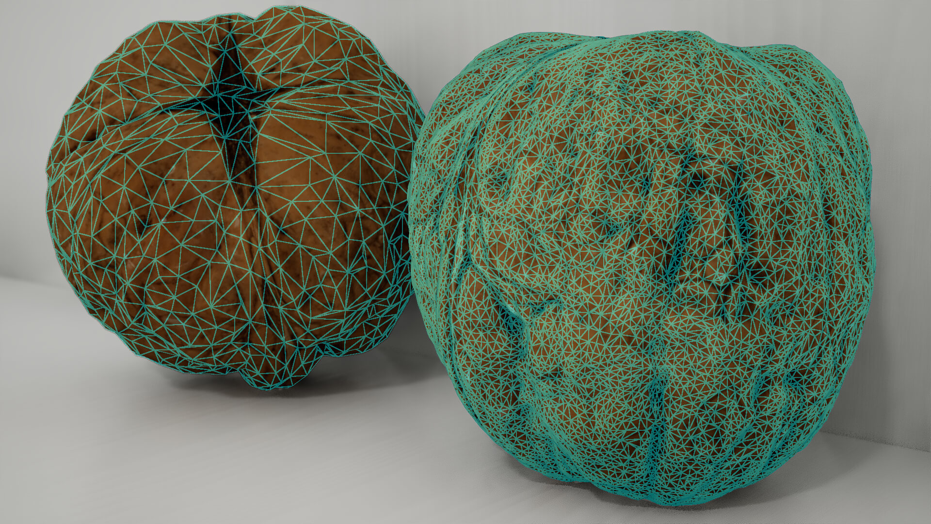 Walnut (Scanned) - Free 3D Model by Scan Kraft