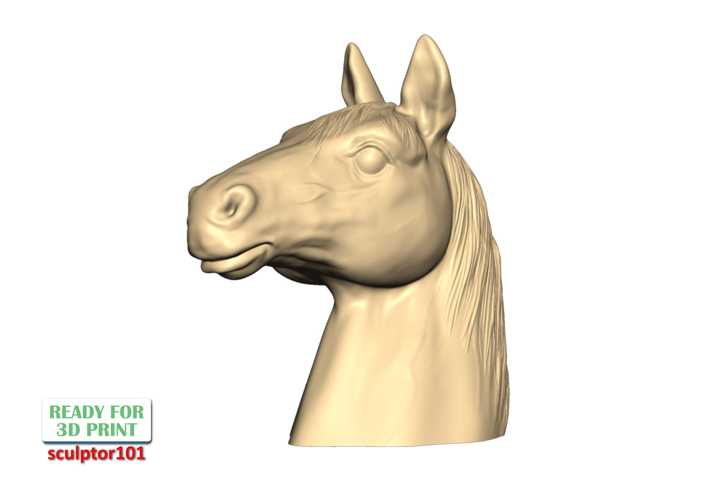 Horse Bust 3D Sculpting by sculptor101