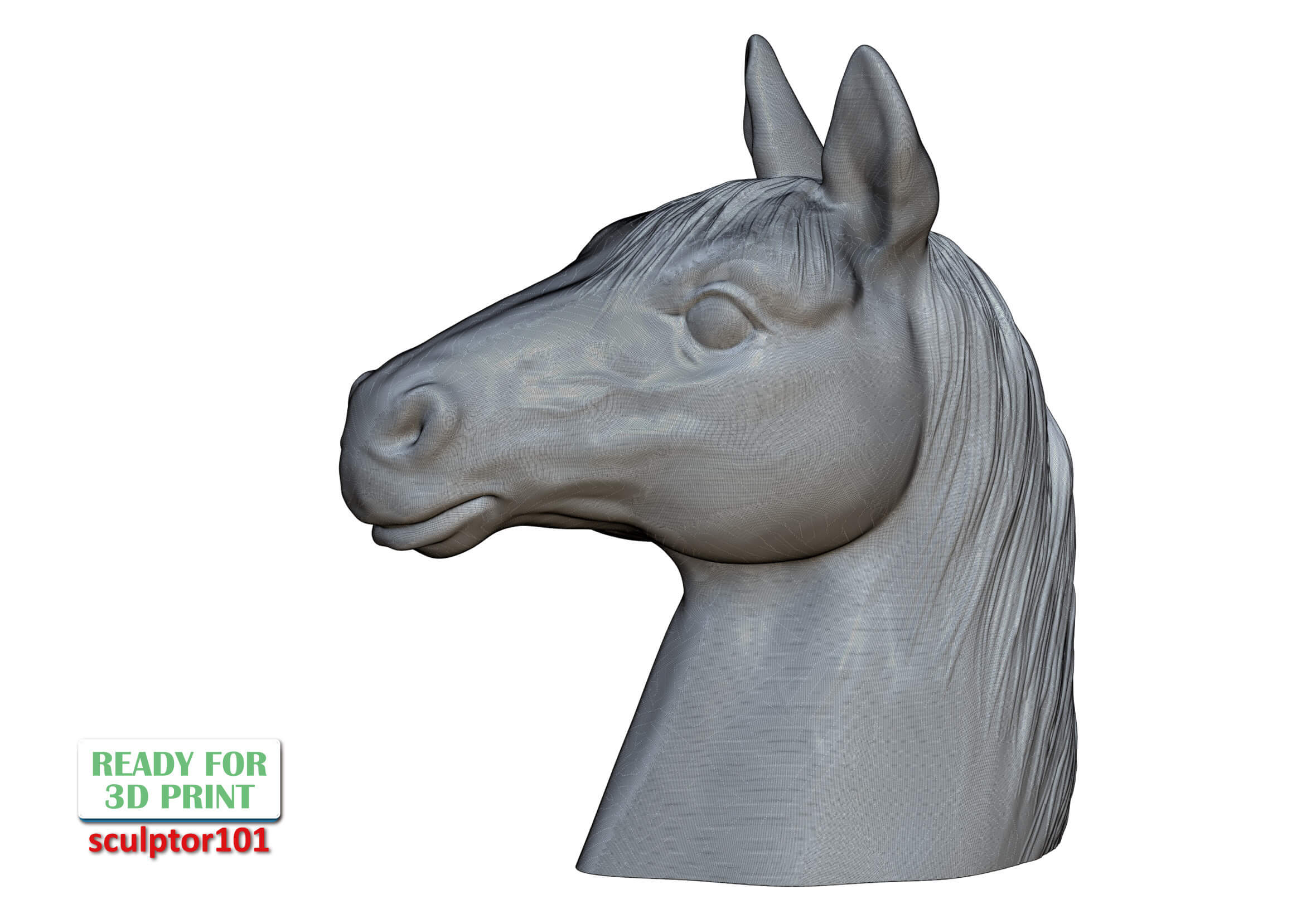 Horse Bust 3D Sculpting by sculptor101