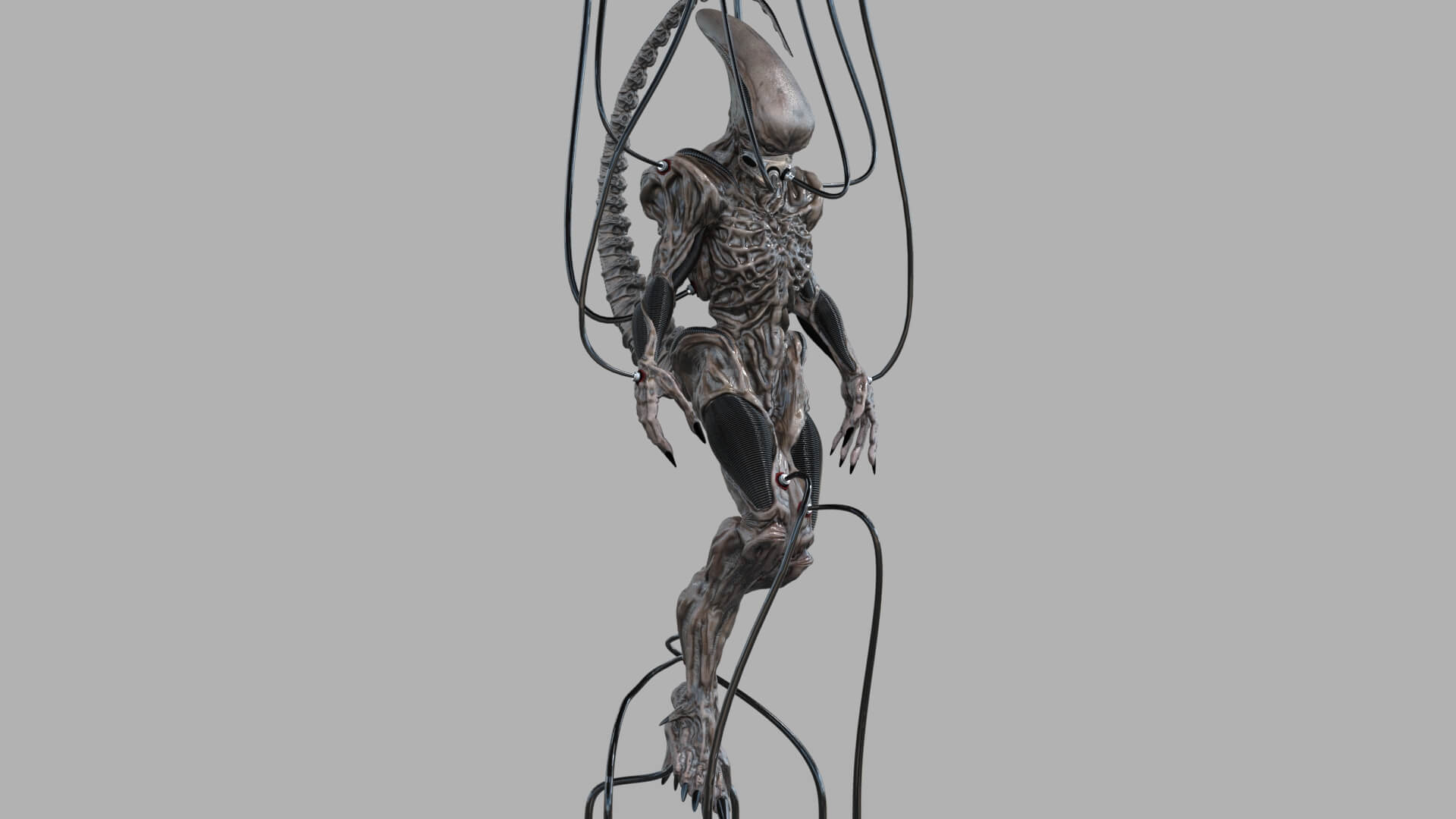Alien Xeno ID in Incubator - 3D Model by seanguerrez