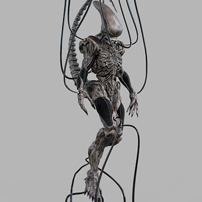 Alien Xeno ID in Incubator - 3D Model by seanguerrez