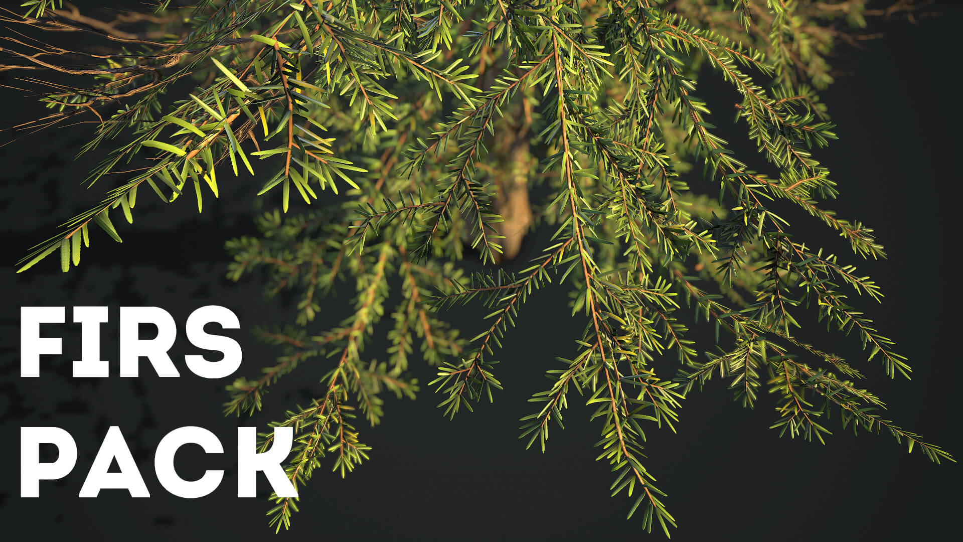 Douglas Firs Pack 3D Model by seriouscat