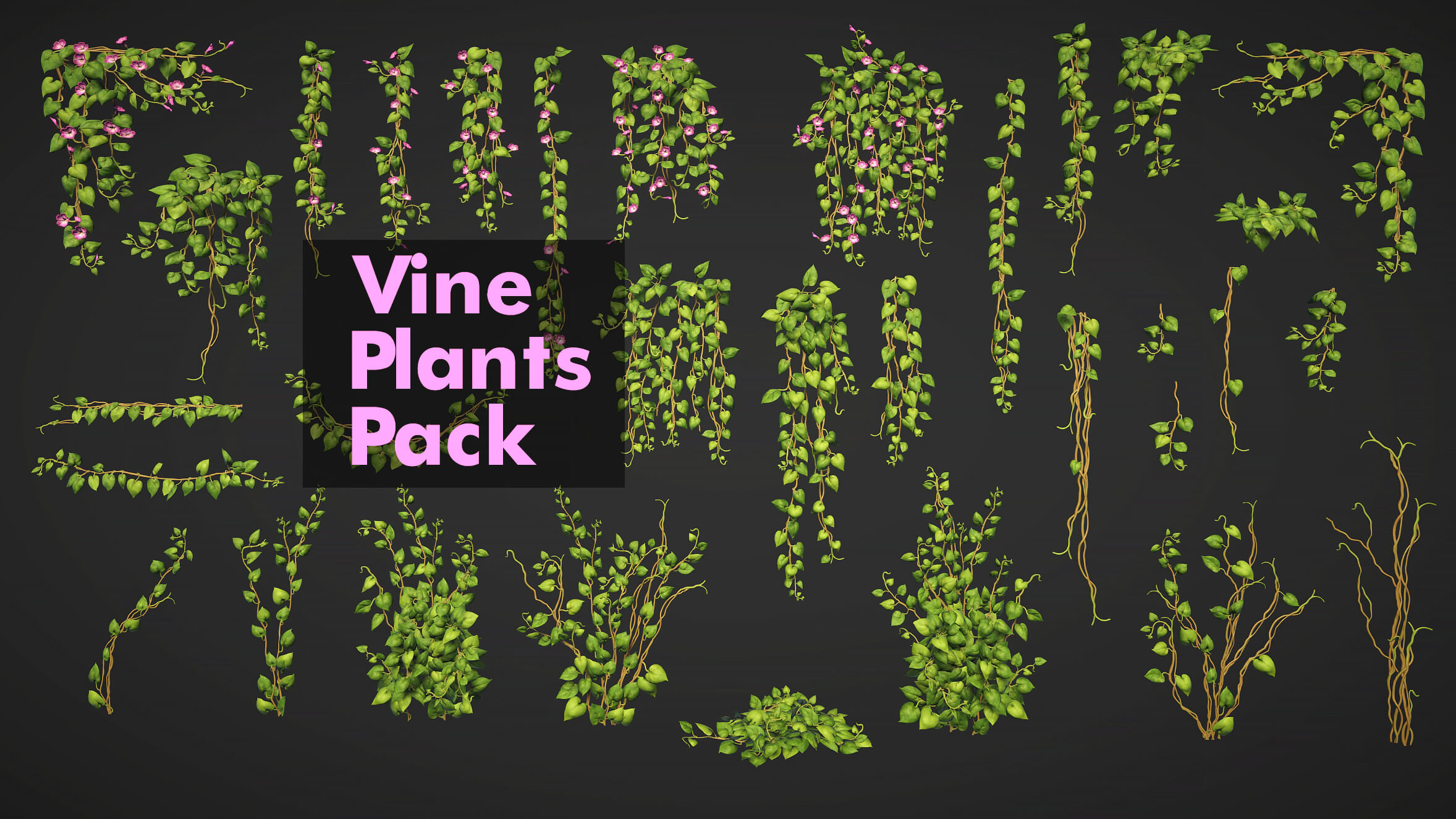 Vine Plants Pack 3D Model by seriouscat