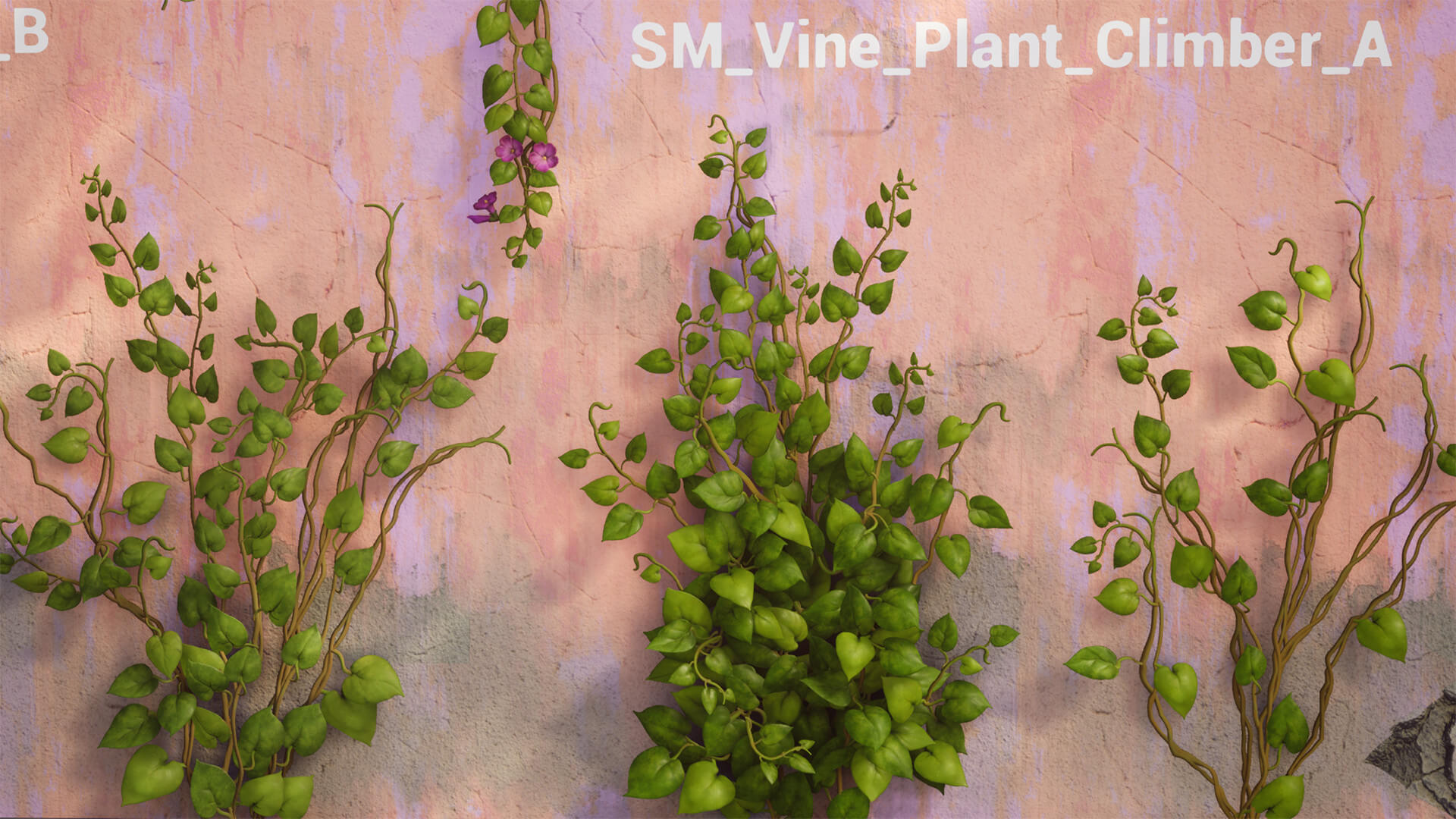 Vine Plants Pack 3D Model by seriouscat