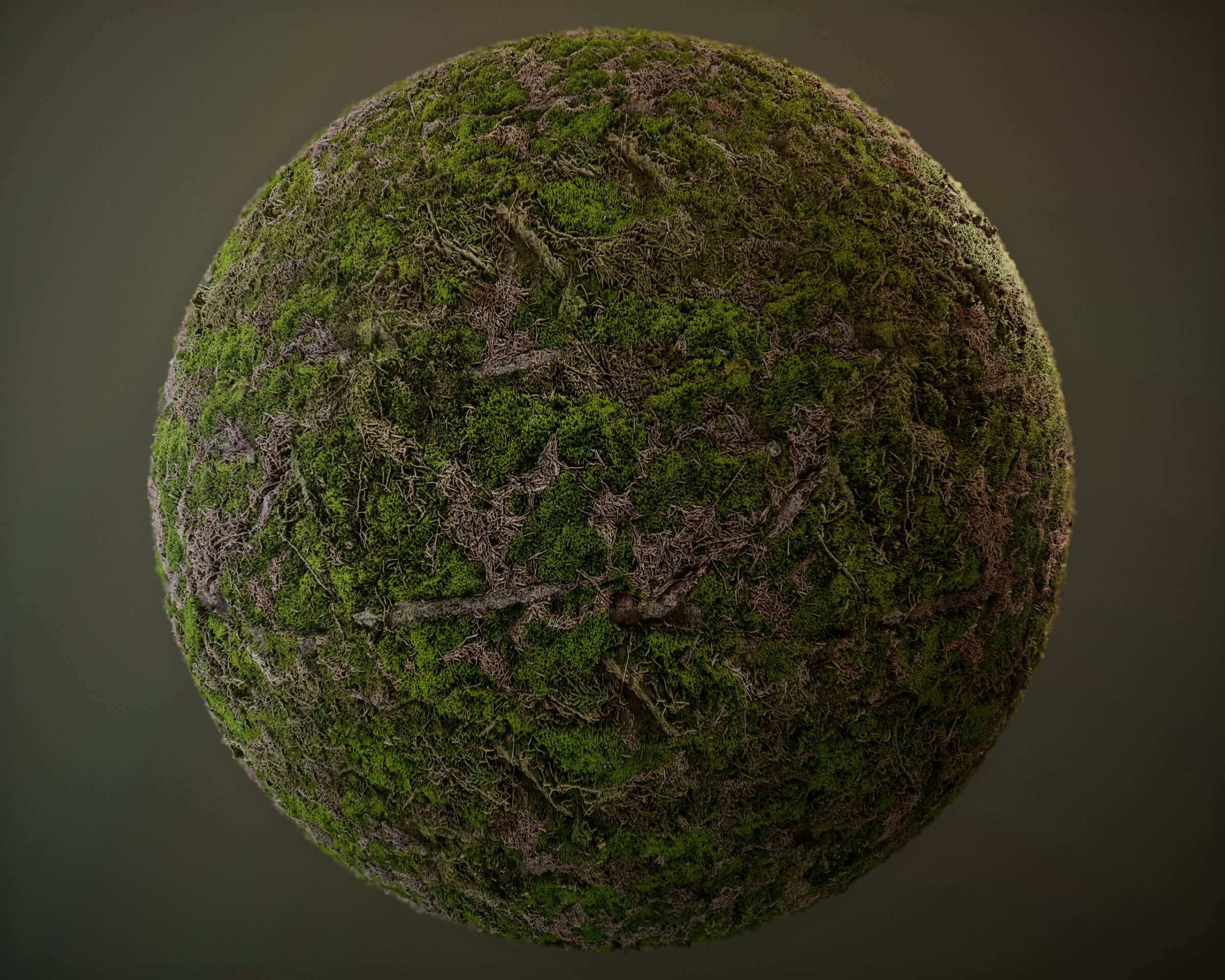 10 Seamless PBR Grass Textures - Free 3D Texture by SeTa
