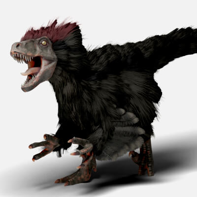 Tiger Pattern Raptor Rigged Raptor with 4k textures and animations - 3D Model by Shakundao