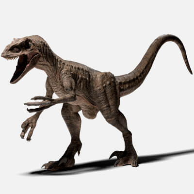 Rigged Velociraptor without Animations - 3D Model by Shakundao