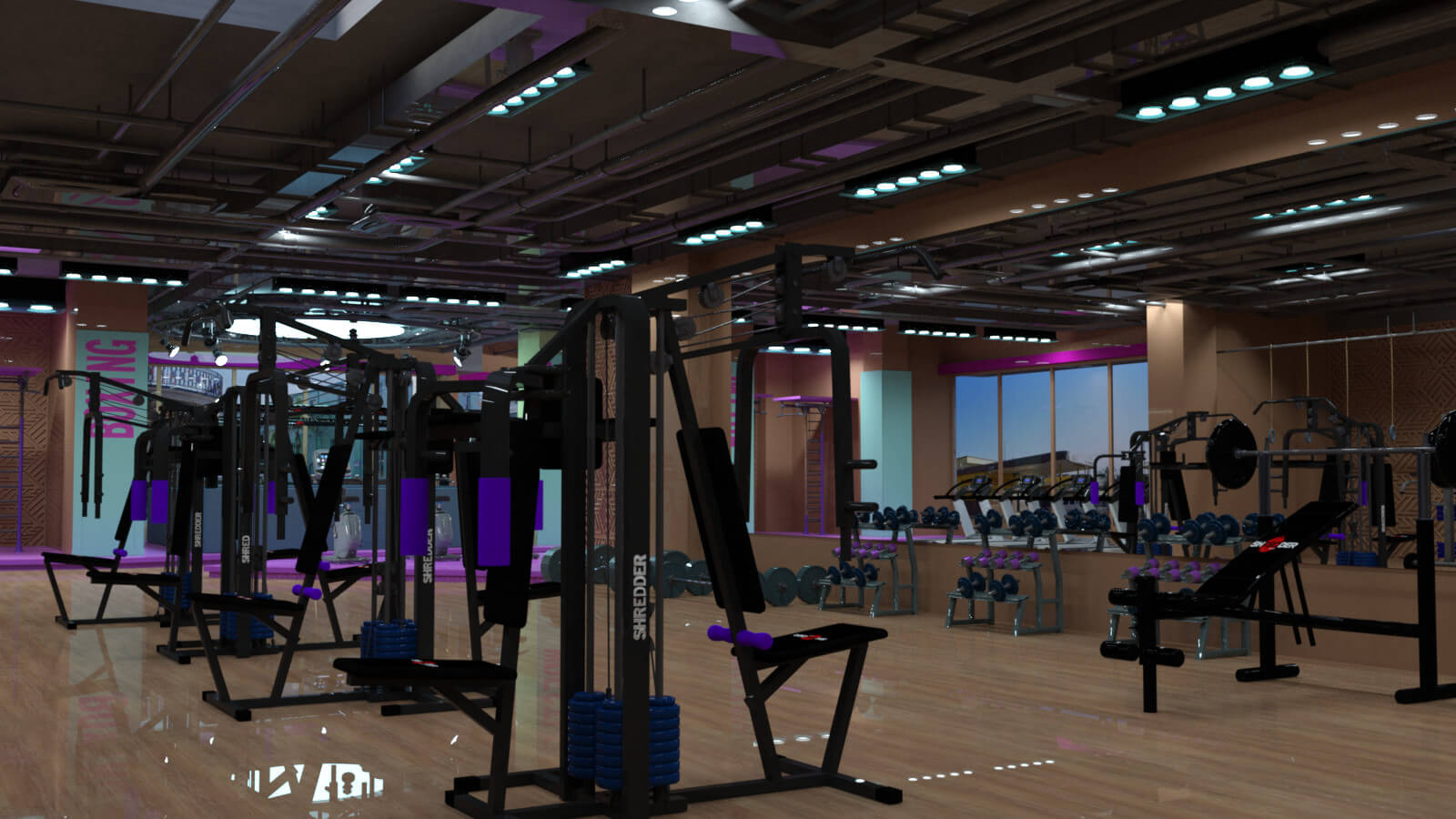 Shredder Gym for DAZ by Shredder