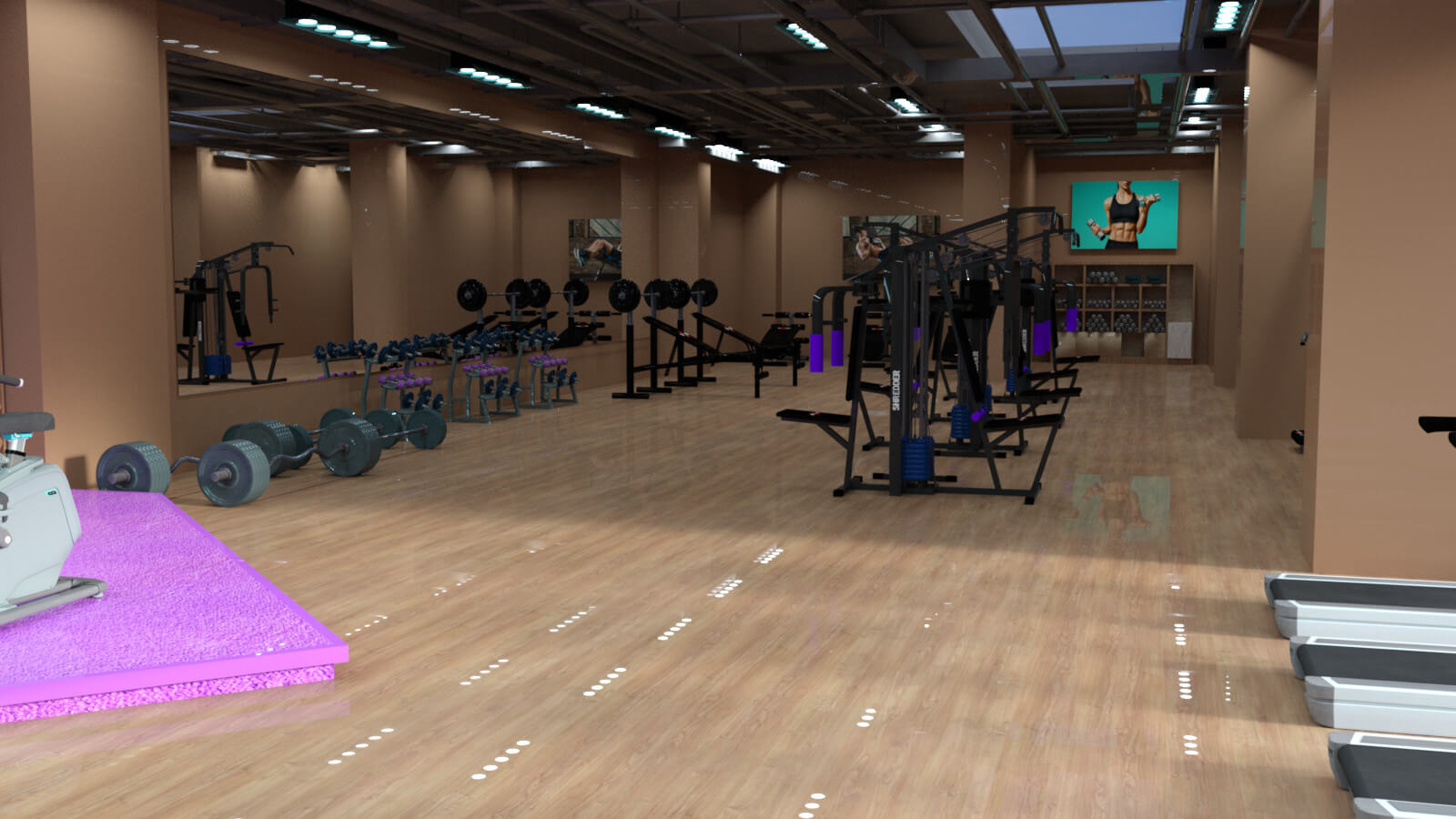 Shredder Gym for DAZ by Shredder