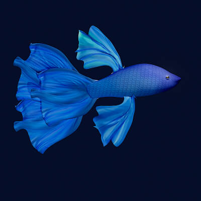 Blue Fish 3D Model